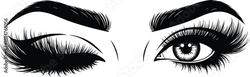 Female eyes illustration with long eyelashes and eyebrows beauty makeup glamour fashion cosmetics vision elegance isolated black and white design concept