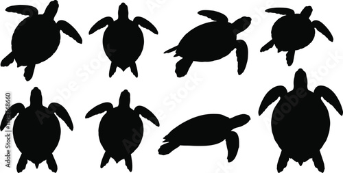 Sea Turtle Silhouette Collection Featuring Eight Unique Swimming Poses from Top View for Marine Life and Design Themes