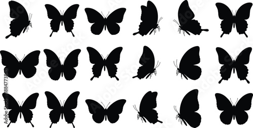Butterfly Silhouette Collection Featuring 20 Unique Wing Shapes and Profiles for Nature, Insect, and Design Themes