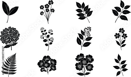 Black silhouette botanical element set featuring leaves, flowers, branches, and fern shapes for floral design, nature illustration, prints, and decorative vector artwork