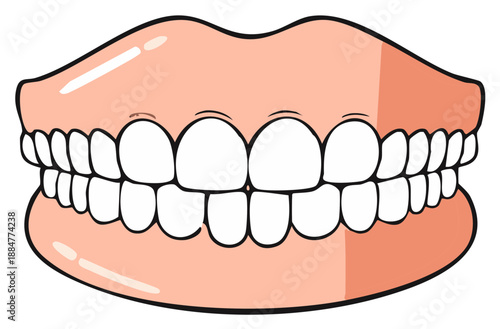 Healthy human dentition showing upper and lower teeth with pink gums in a bright cartoon illustration