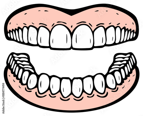 Cartoon Upper and Lower Dentures Illustration for Dental Health