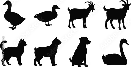 Animal Silhouette Collection Featuring Goose, Duck, Goat, Cat, Dog, and Swan in Distinct Poses for Design and Education