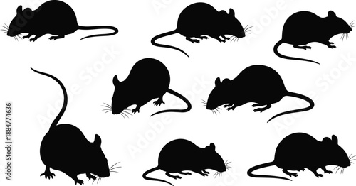 Mouse Silhouette Collection Featuring Seven Unique Poses with Long Tails, Rounded Ears, and Whiskers for Rodent Design Themes