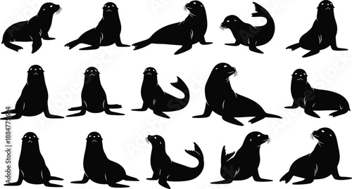 Seal Silhouette Collection Featuring Fifteen Unique Poses Including Sitting, Lying, Turning, and Flipper-Raising for Marine Design Use