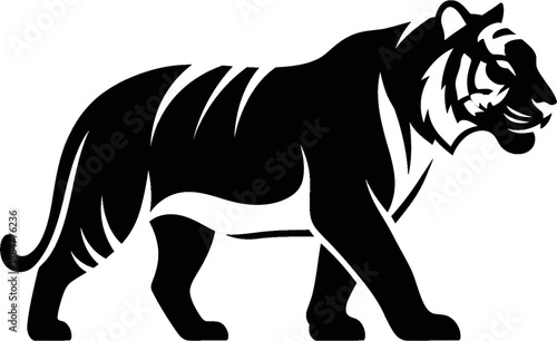 Two abstract fluid shapes in vivid colors, modern vector graphic art for dynamic backgrounds