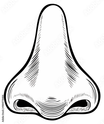 Detailed Engraved Nose Illustration Human Anatomy Facial Feature Health Organ Smelling Senses Black and White