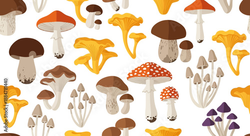 Variety of Mushrooms Illustrated in a White Background from a Top Viewpoint