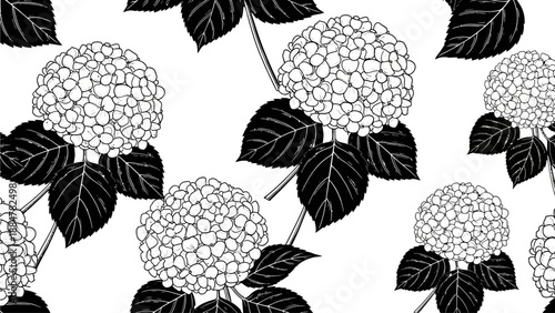 Hydrangea flowers and leaves pattern in black and white illustration from an aerial view
