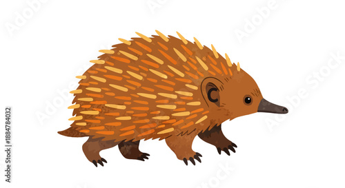 Illustration of an echidna with sharp quills standing alone on a plain background from a side viewpoint