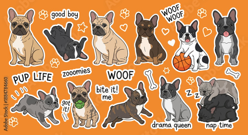 Collage of various French bulldogs with humorous captions showcasing different expressions and personalities in a playful setting