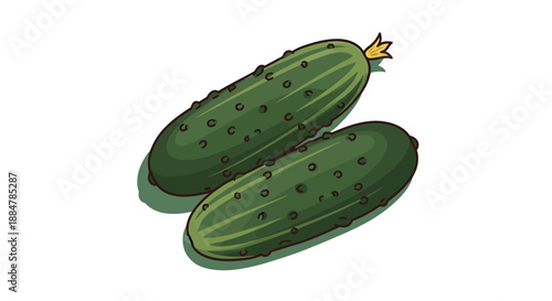 Two cucumbers illustrated in a digital artwork, showcasing their texture and details from a direct viewpoint