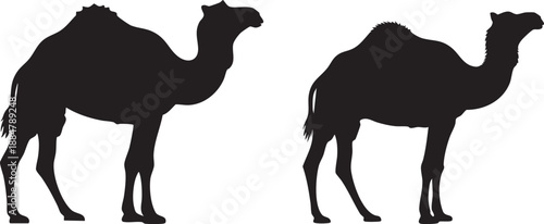 Desert Animal Black Camel Silhouettes, Exotic Icons for Travel, Oasis, and Middle East Themes