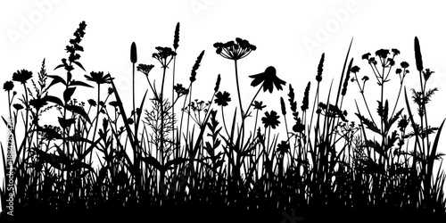 Wildflower Meadow Rewilding Nature Silhouette