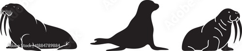 Set of Arctic Marine Mammal Silhouettes: Walrus and Sea Lion Icons on White Background