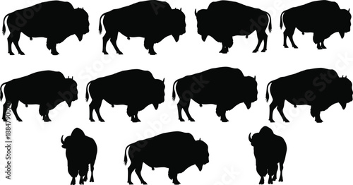 Bison silhouettes set in multiple standing and walking poses, powerful wild buffalo animal collection, realistic wildlife illustration isolated on white background