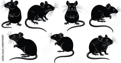 Rat silhouettes set in multiple poses, black rodent animal illustration collection, realistic wildlife and pest concept, detailed vector style isolated on white background