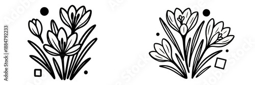 Spring crocus flowers arrangement in vector style illustration