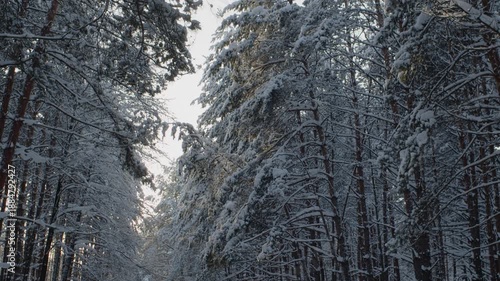 Evening Fairytale Winter Forest. 60 Fps. ProRes 422 HQ