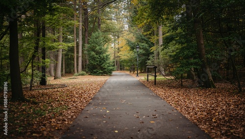 Path in a Park Surrounded by Trees and Fallen Leaves During Autumn Season