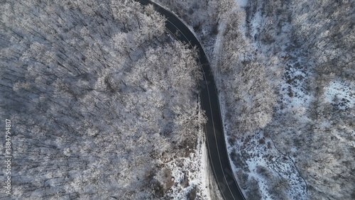 Aerial view of forest landscape, winter time with frozen white trees