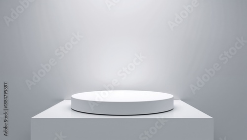 Display Platform in a Simple Gallery Space With Even Lighting and Plain Walls