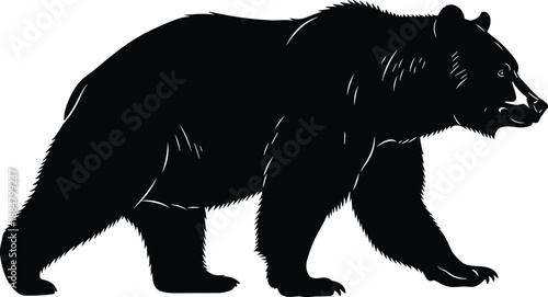 Black silhouette of a walking bear with detailed fur texture, ideal for wildlife design, nature graphics, forest-themed illustrations, and animal vector projects.