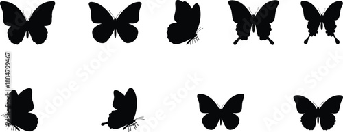 Set of eight black butterfly silhouettes in varied wing shapes and poses, ideal for nature design, insect graphics, and vector illustration projects.