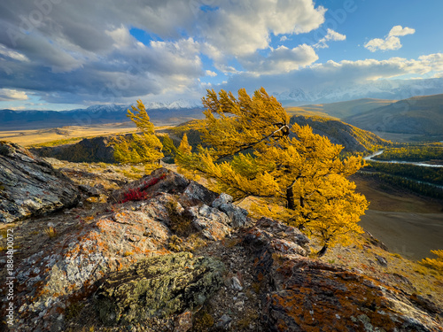 Canvas Print Golden autumn trees on rocky outcrop overlook wide valley with distant snow capped mountains under dramatic sky