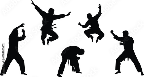 Silhouettes of martial artists demonstrating powerful kicks, punches, and dynamic combat poses in traditional uniforms, showcasing athletic discipline, action training, and martial arts performance