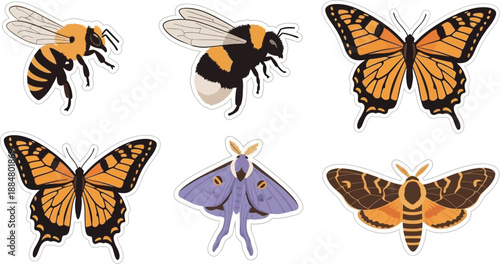 A collection of six illustrated insects, including bees, butterflies, and moths, are displayed against a white background.