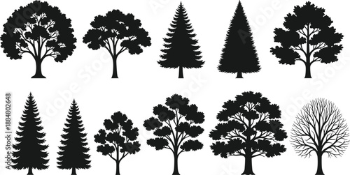 Forest tree silhouette collection featuring deciduous and pine trees representing nature woodland landscape and environmental elements in black and white vector illustration