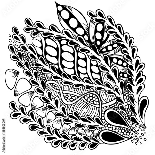 zentangle styles, biological motifs, intricate black-and-white illustration, seed pods, pea husks, pebbles, teardrops, leaves, three-dimensionality, large white shapes and solid black fill