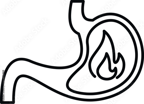 Human stomach organ experiencing painful acid reflux and indigestion