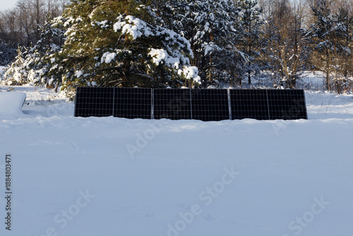 solar panels in a snowy field against a background of pine trees, sunny weather