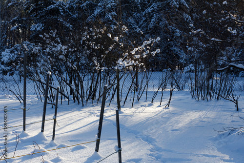 view of a field in the snow with trees and grass