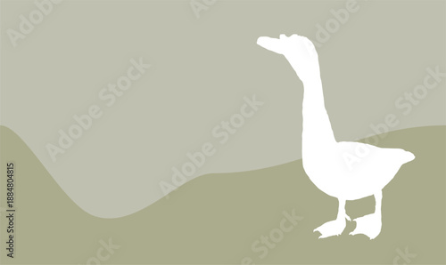 Vector illustration of a silhouette of a white-feathered male Muscovy duck with a green empty space background as inspiration for visual communication design