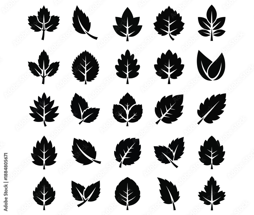 Obraz premium Collection of diverse black leaf silhouettes on white background