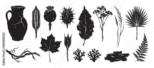 Collection of black linocut illustrations featuring botanical elements like leaves, flowers, seed pods, roots, and a cracked jug in a rustic, hand-carved graphic style