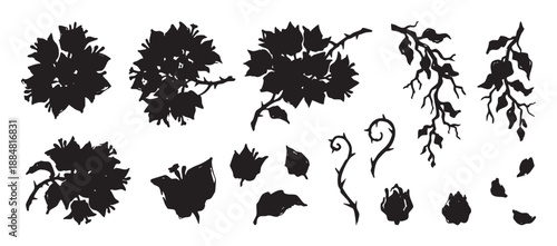 Black ink silhouette collection of bougainvillea flowers, leaves, and branches with a hand-drawn, rustic aesthetic for creating unique botanical designs and illustrations