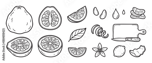 Hand-drawn citrus fruit illustration set with pomelo, slices, wedges, zest, and a cutting board in a black and white doodle style for culinary or botanical designs