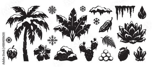 Set of frozen tropical plants and elements including a palm tree, cactus, and hibiscus covered in snow and ice, presented in a black and white graphic illustration style