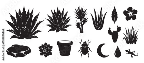 Black hand-drawn desert nature icon set with agave, aloe, cactus, a lizard, and a beetle in a rustic linocut artistic style illustration