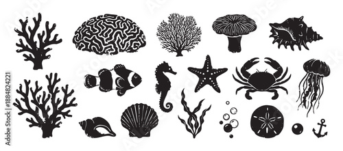 Collection of black marine life silhouettes with a fish, crab, seahorse, jellyfish, coral, and shells, illustrated in a rustic hand-drawn linocut or woodblock print style
