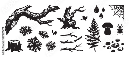 Collection of black forest elements in a graphic woodcut style, featuring a mossy branch, tree stump, mushroom, fern, beetle, bird, and spiderweb for nature themes