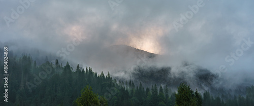 Atmospheric view of misty fog in Carpathian Mountains in Ukraine with dense coniferous forest and soft sunrise light. Foggy landscape creates calm, moody and natural wilderness scenery. Banner, header