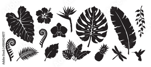 Set of black tropical jungle elements featuring exotic flowers, palm leaves, a hummingbird, and a dragonfly in a graphic, distressed silhouette style for nature-themed design