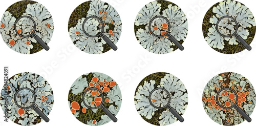 Eight circular views show different species of lichen magnified under a magnifying glass on dark ground.