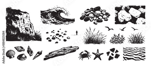 Hand-drawn set of beach and coastal elements in a graphic black and white linocut style, featuring a sea wave, cliff, pebbles, shells, crab, starfish, and driftwood