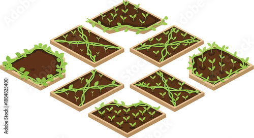 An isometric diagram illustrates eight square garden beds showing stages of plant growth and vine training techniques.